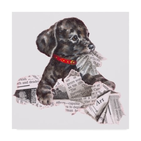 Peggy Harris 'Newspaper Pup' Canvas Art,18x18